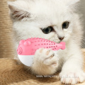 Interactive Pet Toys Dog Cat Toothbrush Toy